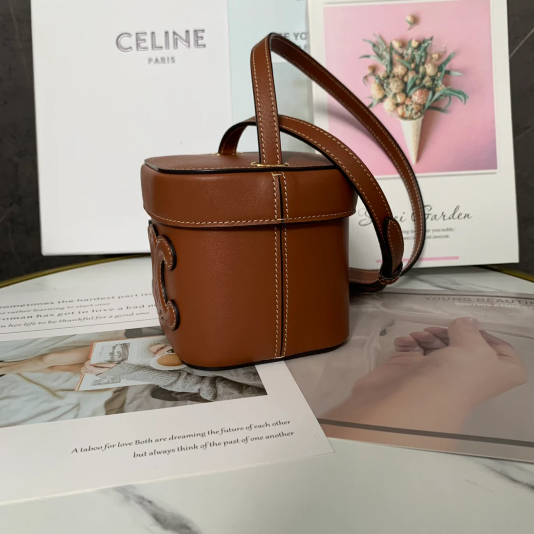 Сумка Celine Boxtriomphe - коричневая