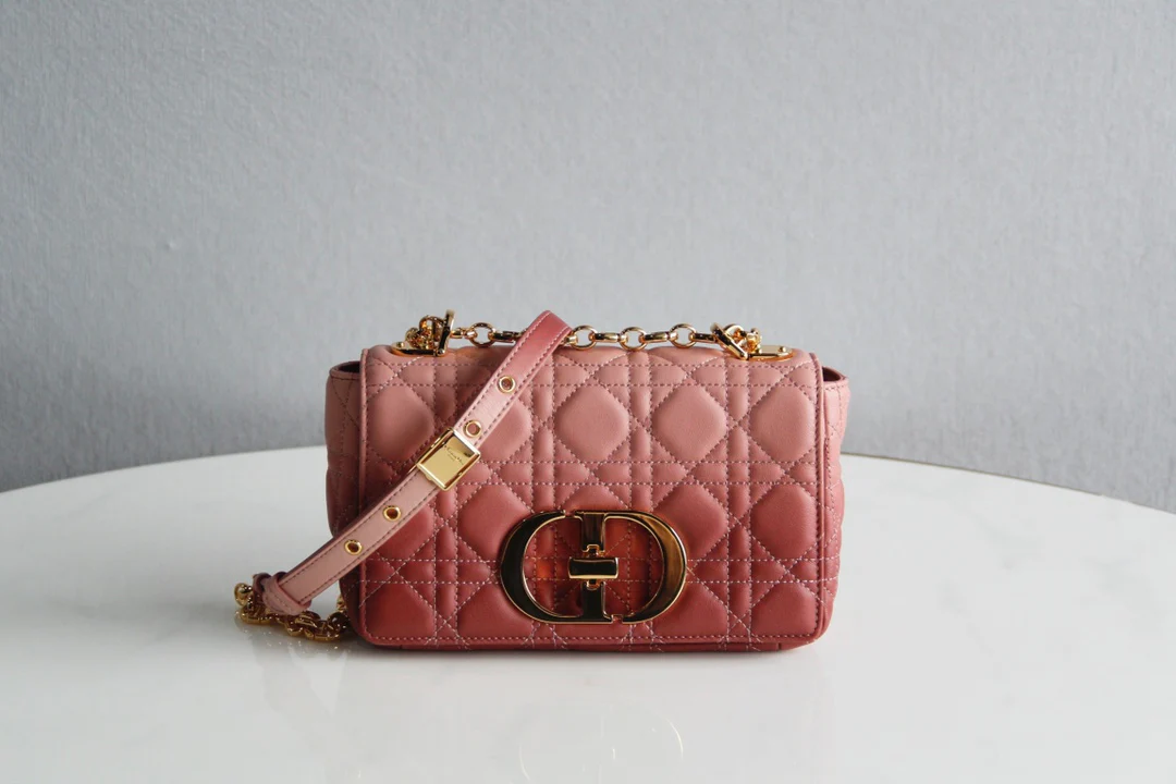 Dior Caro Small 20cm Gradient Pink Calfkin