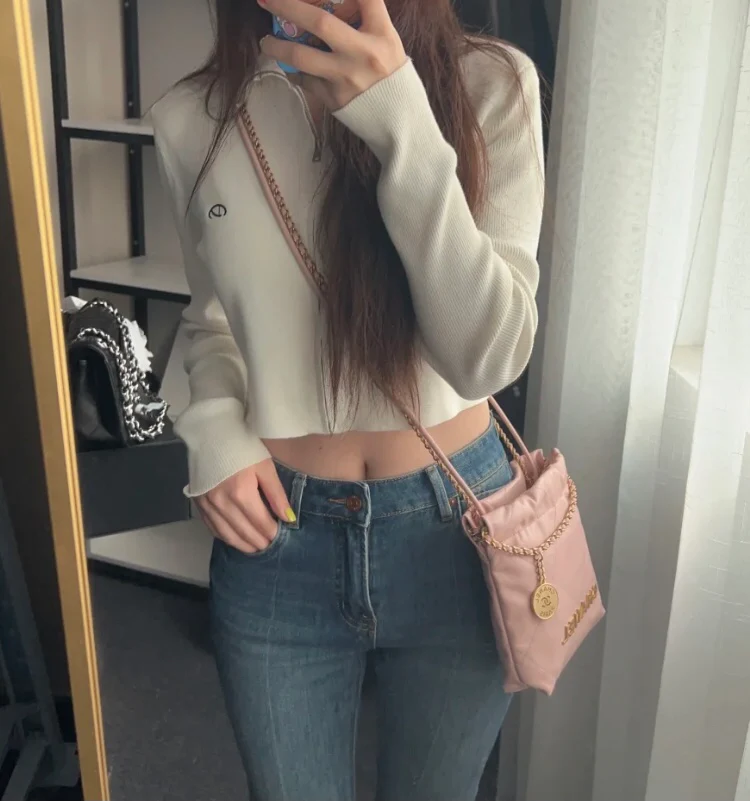 Новинка сезона весна/лето 2023 от Chanel - сумка 22 - мини - розовый - фото в действии.