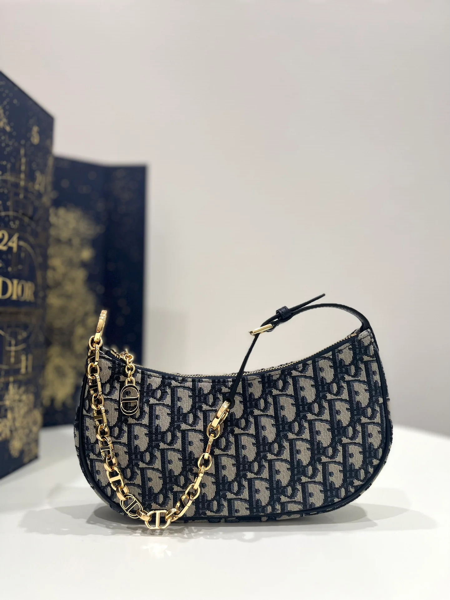 Серия сумок Dior Lounge Moon Bag - канва Oblique Monogram