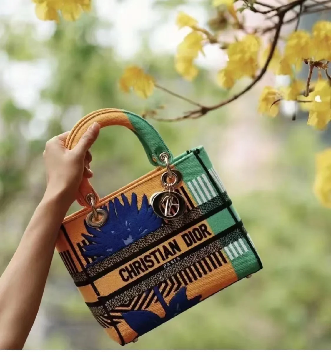 Сумка Dior Lady D'Lite - вышивка на холсте - 24 см - 1