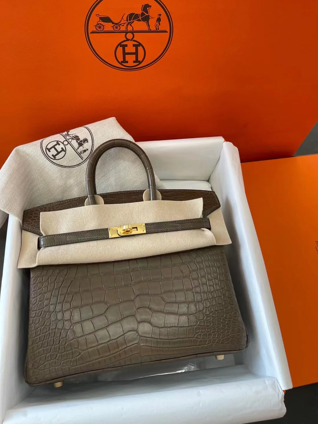 Сумка Hermes Birkin 25m1 Angelica Grey с золотой пряжкой
