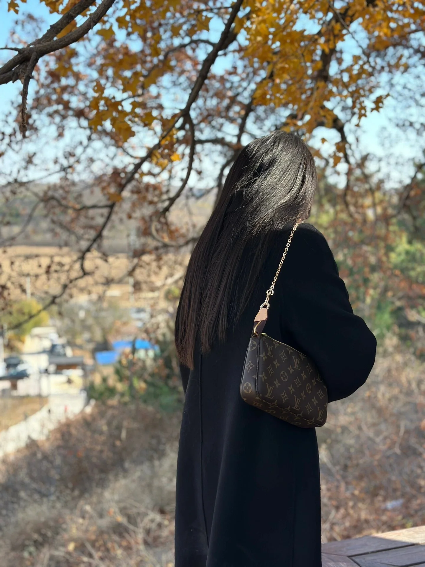 m82766-LV-pochette-accessoire-mahjong bag-handbag-shoulder-crossbody-body bag