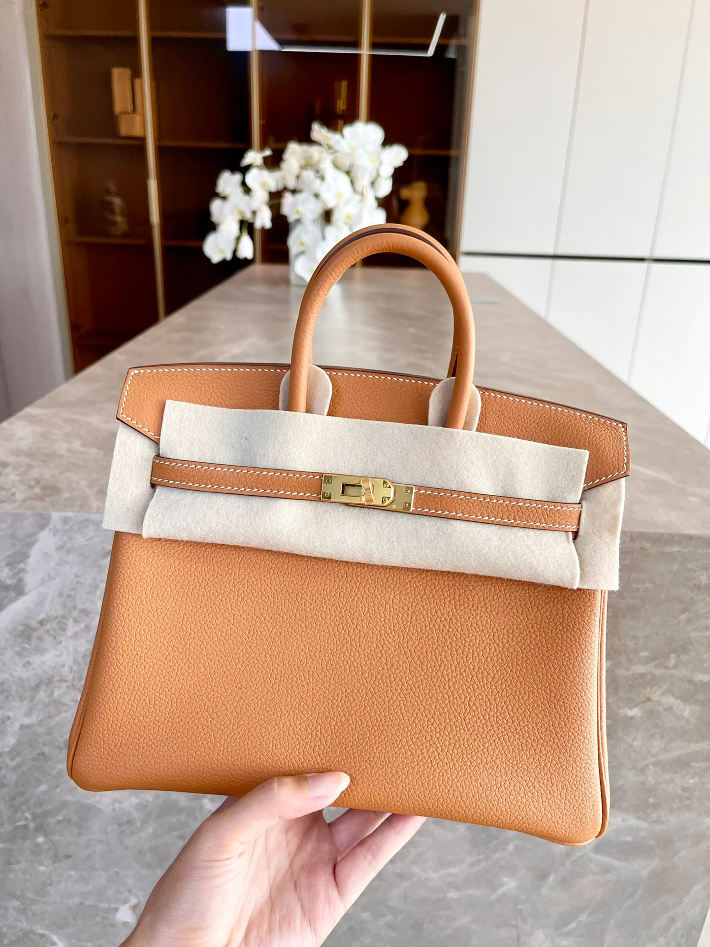Hermes Birkin 25 Togo Gold Buckle