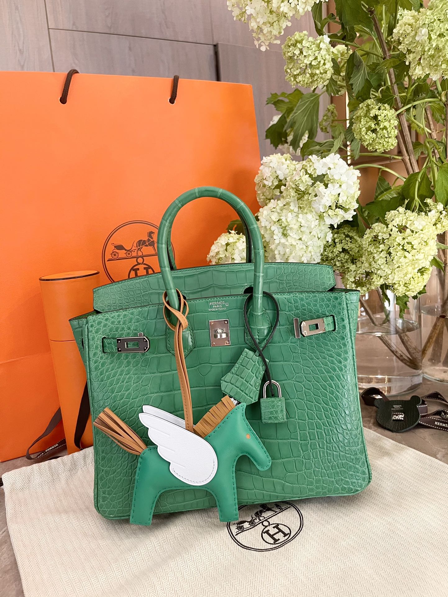 Сумка Hermes Birkin 25 матового цвета 