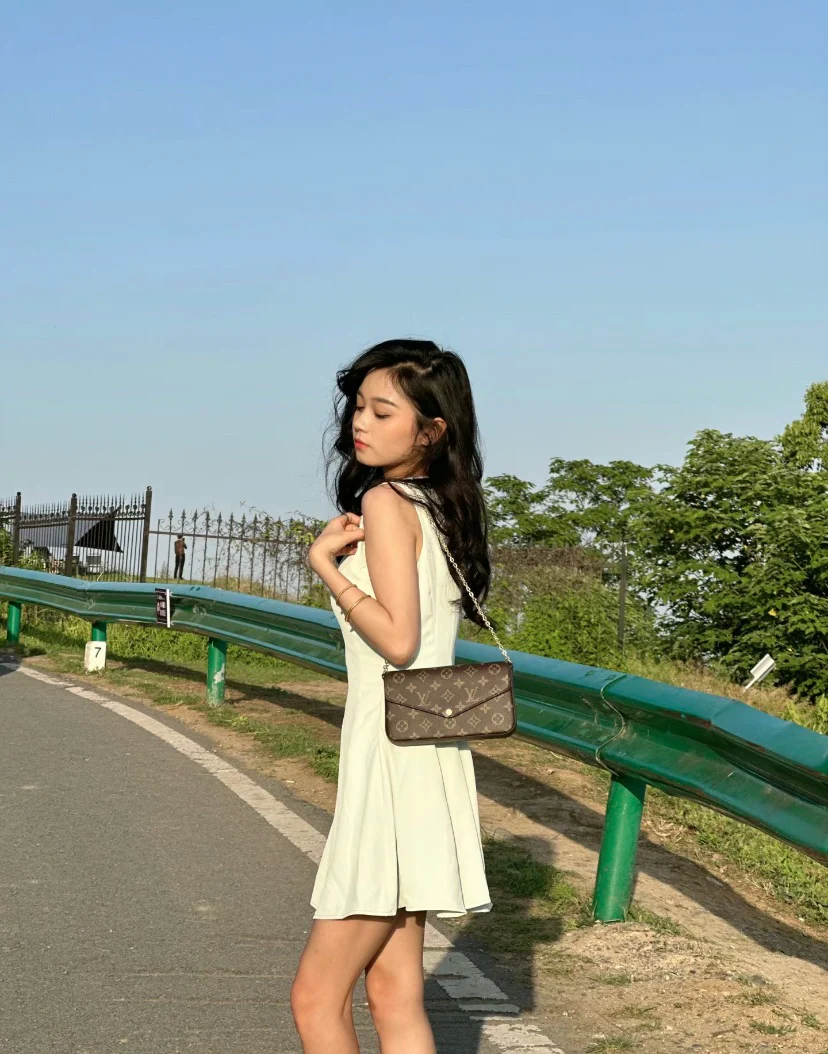 LV-m81896-felicie-pochette сумка с клапаном и карманом, коричневая