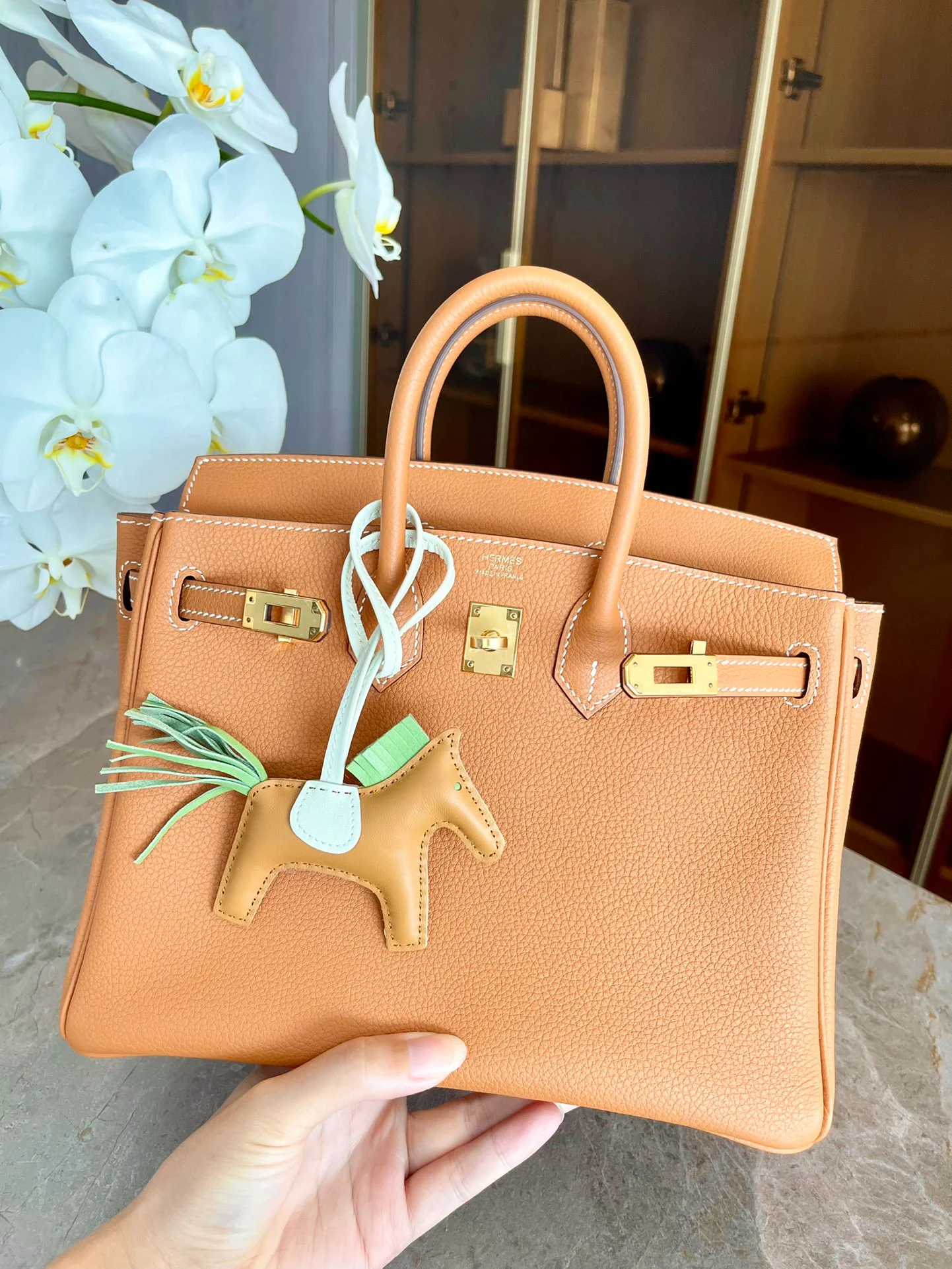 Hermes Birkin 25 Togo Gold Buckle