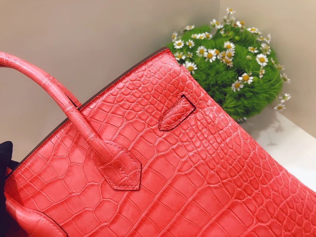 Hermes-birkin-25-American crocodile-a5-mat-croco-handle-red azalea-gold buckle