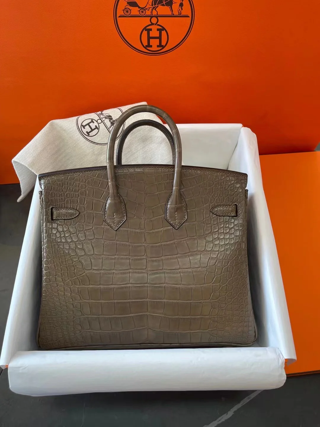 Сумка Hermes Birkin 25m1 Angelica Grey с золотой пряжкой