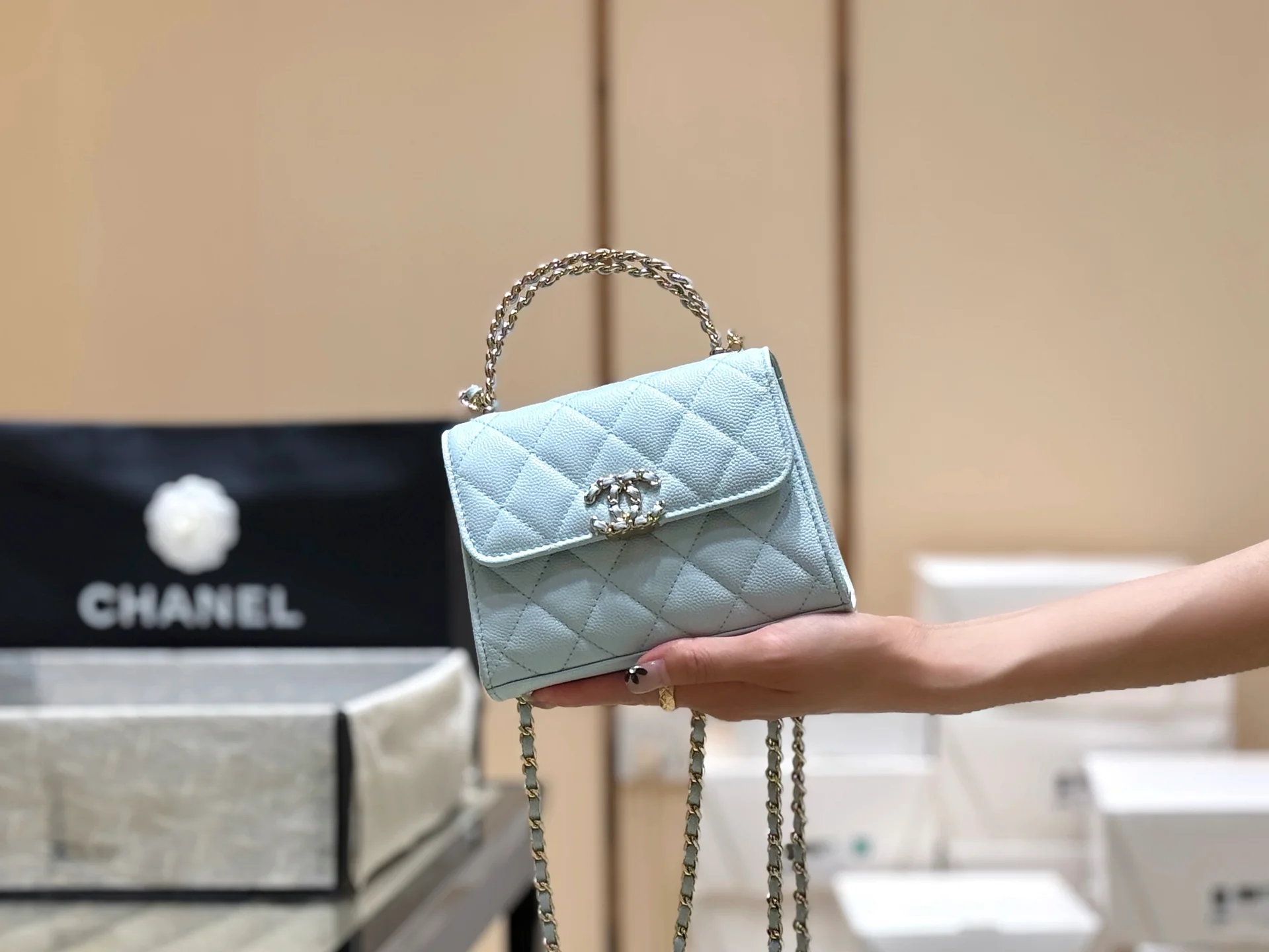 Сумка Chanel 25s Kelly Handle Bag