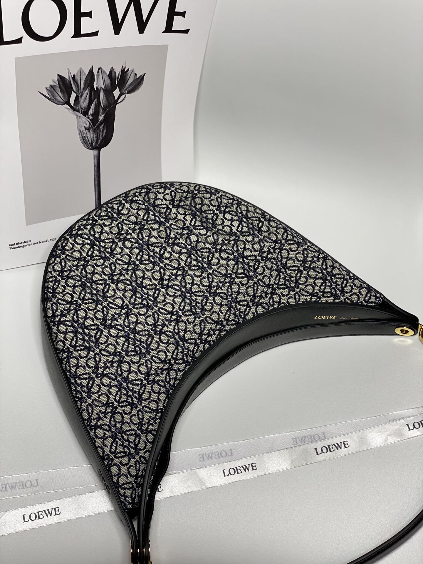 Сумка Loewe Luna серии Moon Bag - 2