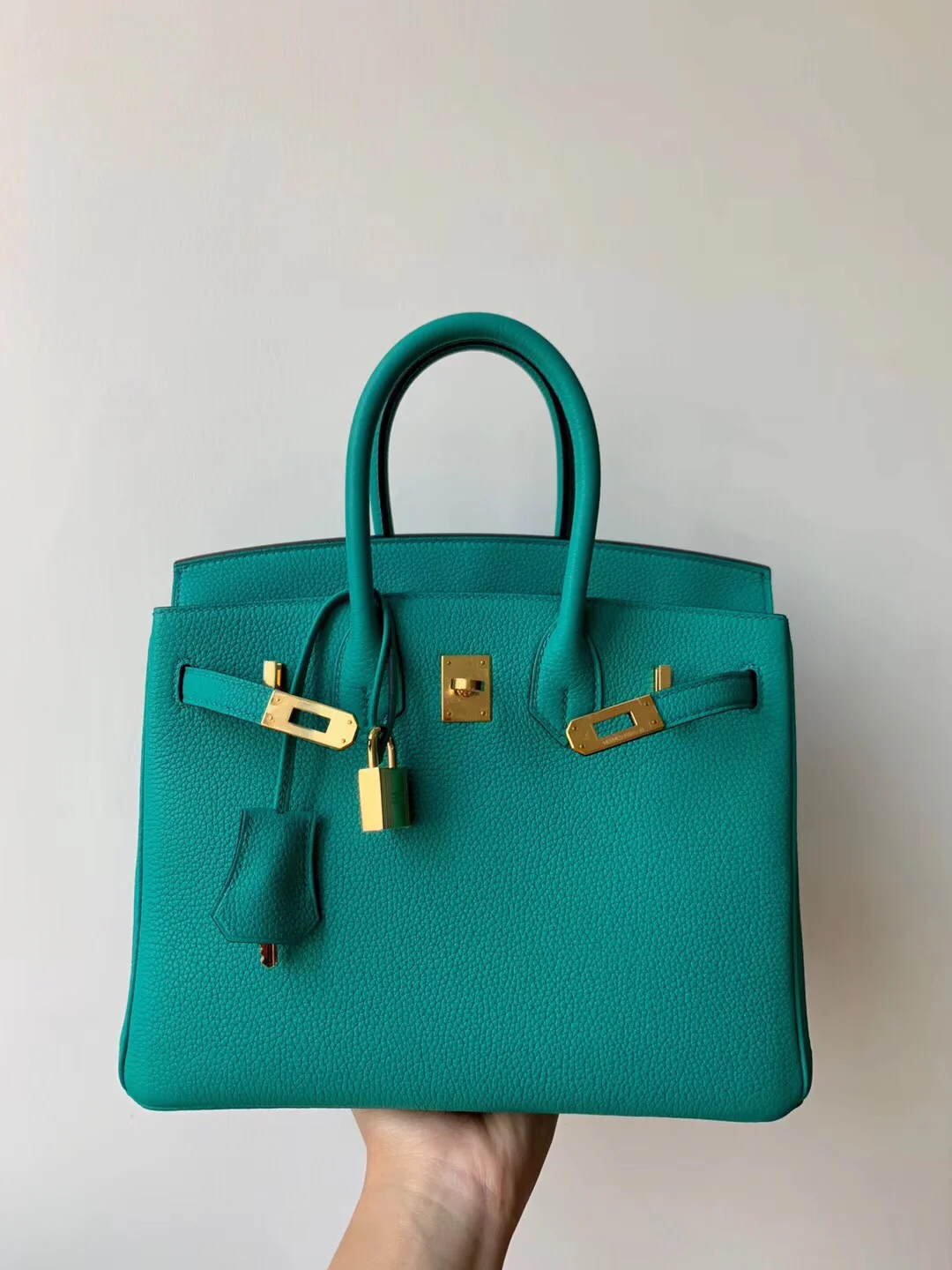 Hermes-birkin-25-togo-u1-vert-verone-Verona зелено-золотая пряжка