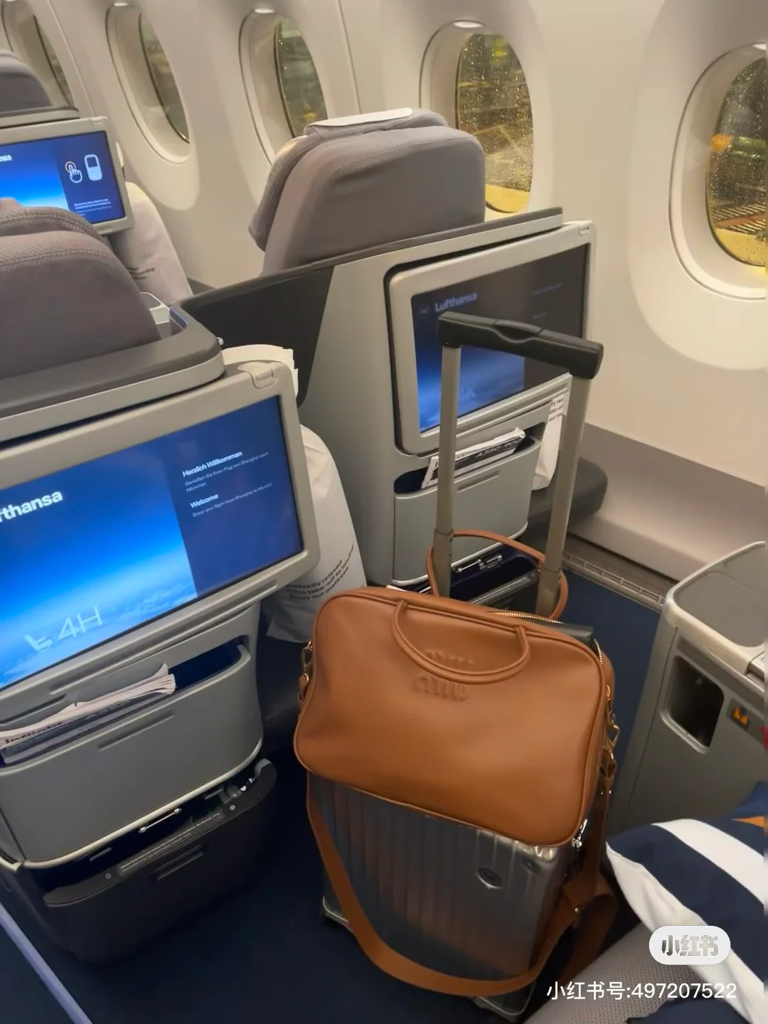 Сумки и портфели Miu Miu-beau — идеи для образов.