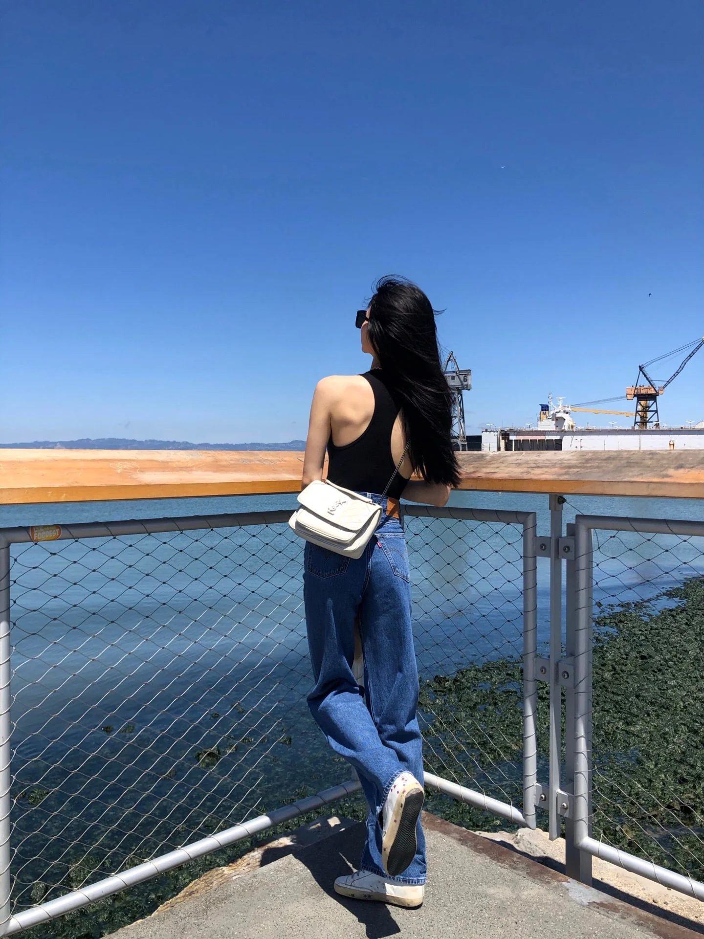 Фото тела YSL-niki-baby-22cm-leather-off-white