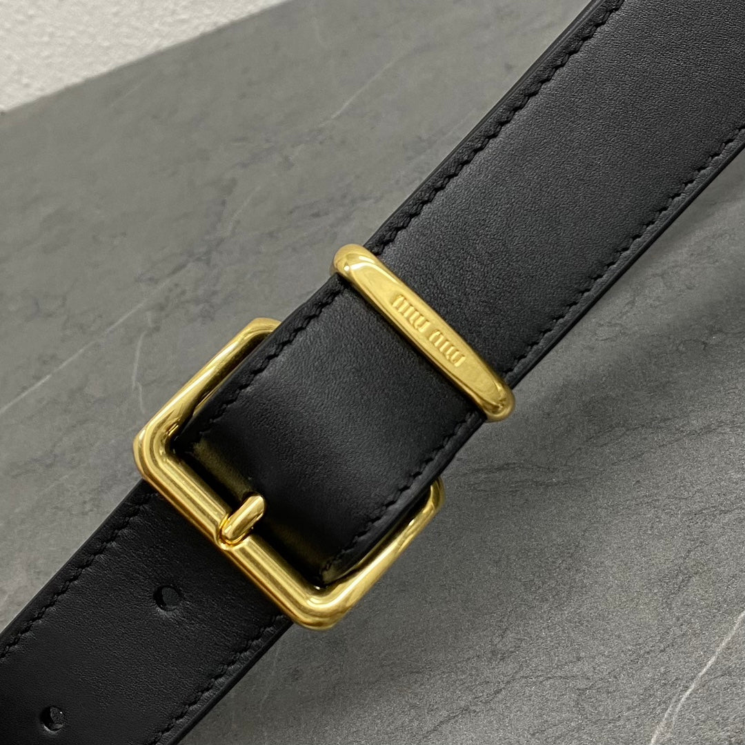 Сумки и портфели Miu Miu-beau