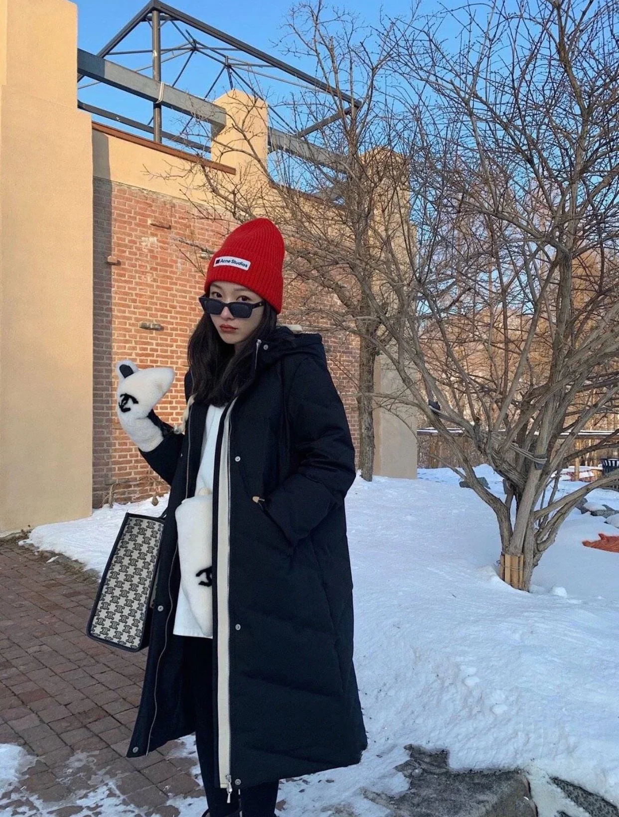 Большая сумка-тоут Celine Triomphe с черно-белой вышивкой