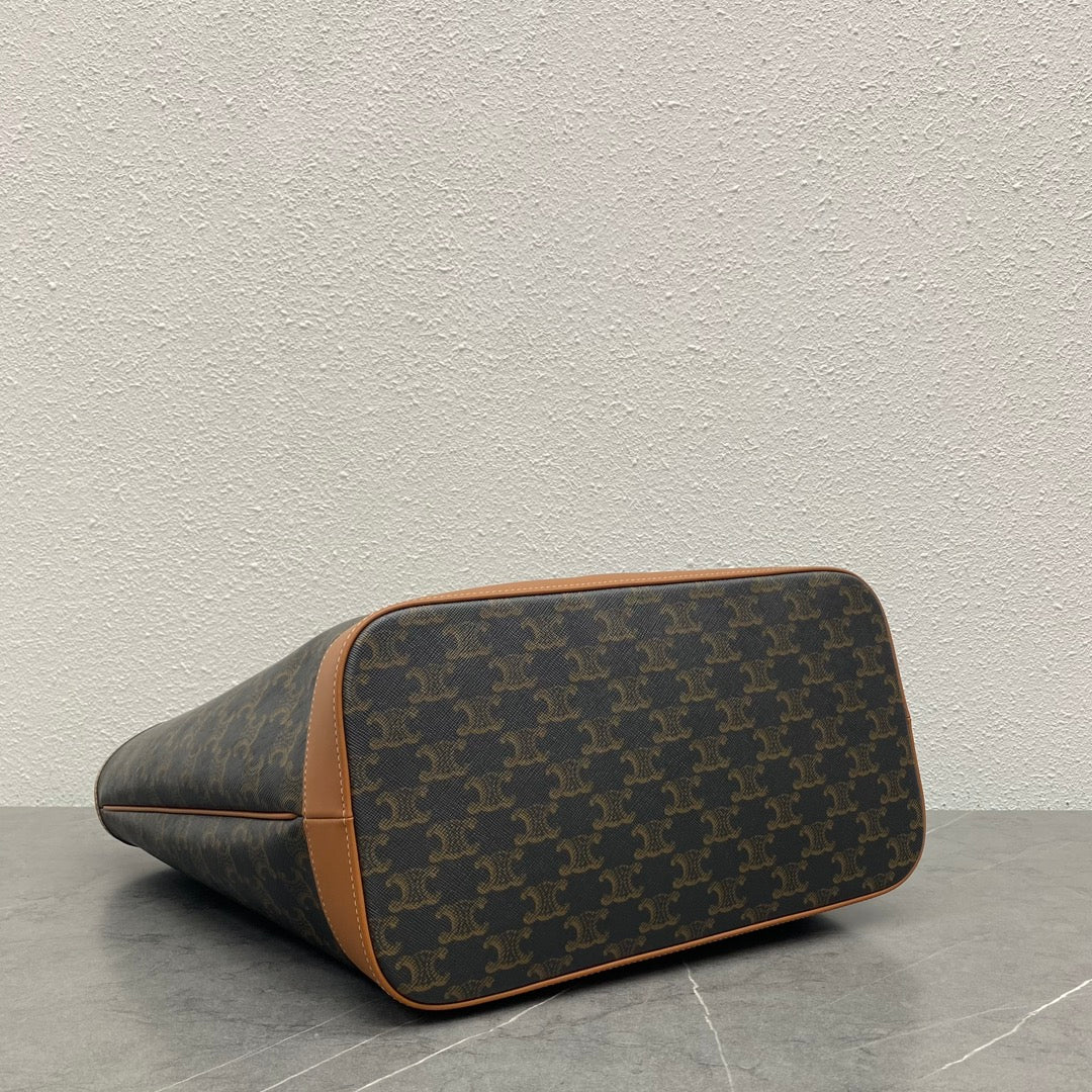 Монограмма Celine-triomphe-canvas-full-page