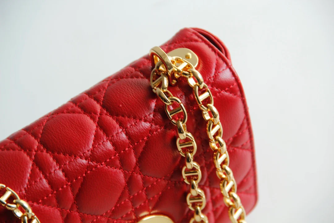 Dior Caro Small 20cm, красная телячья кожа