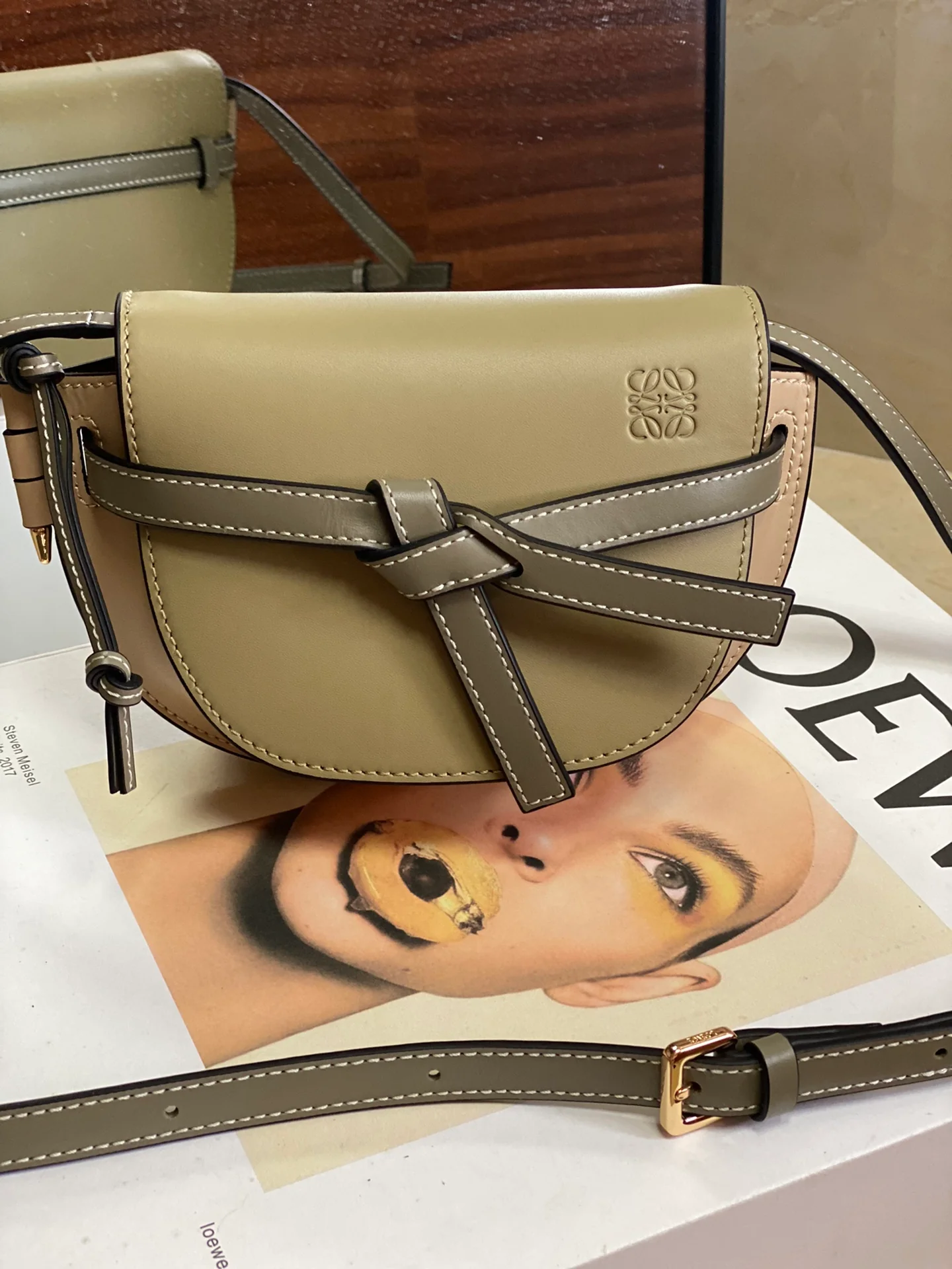 Loewe-gate-dual-milk-gray and green-panel mini