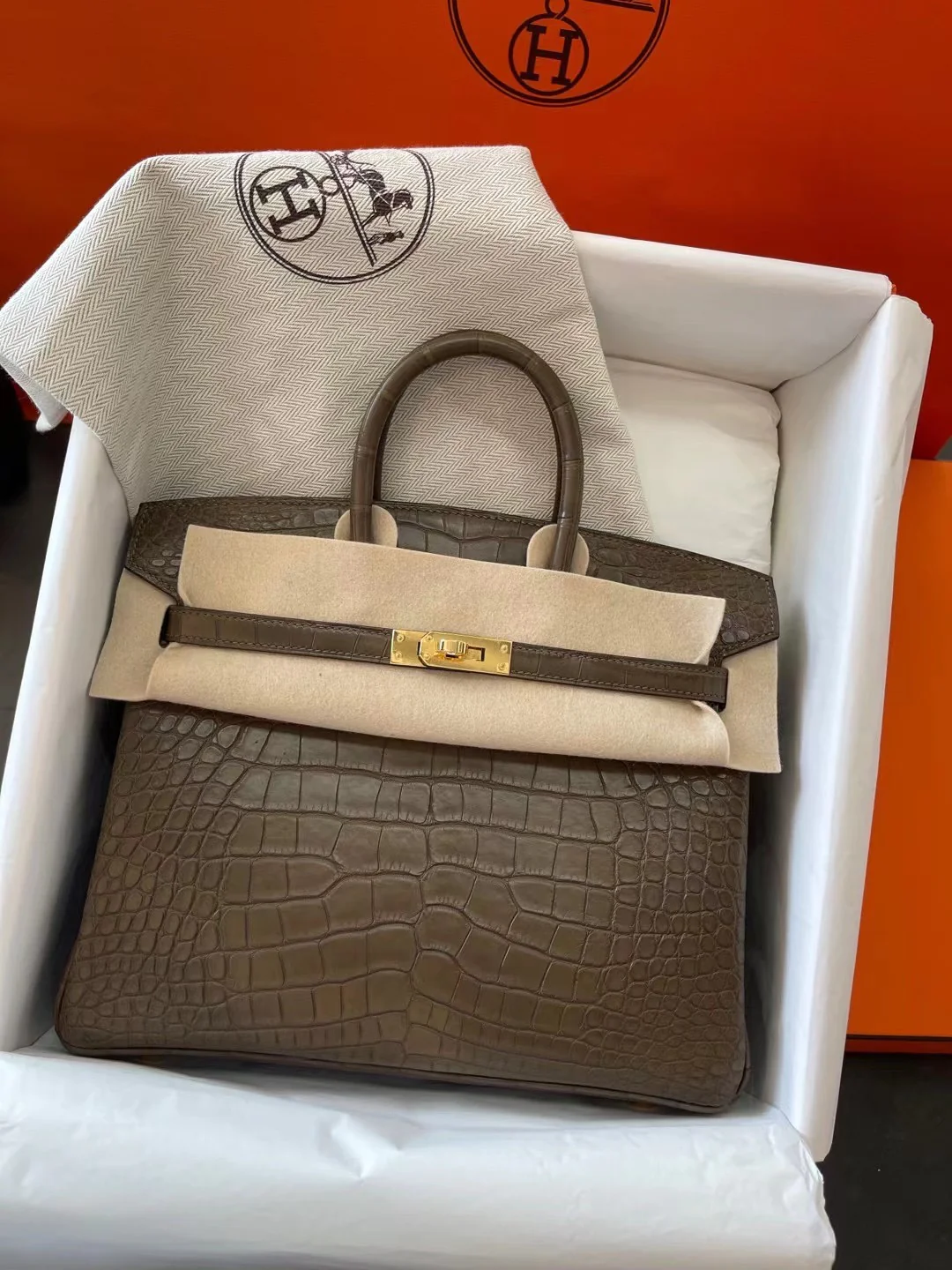 Сумка Hermes Birkin 25m1 Angelica Grey с золотой пряжкой