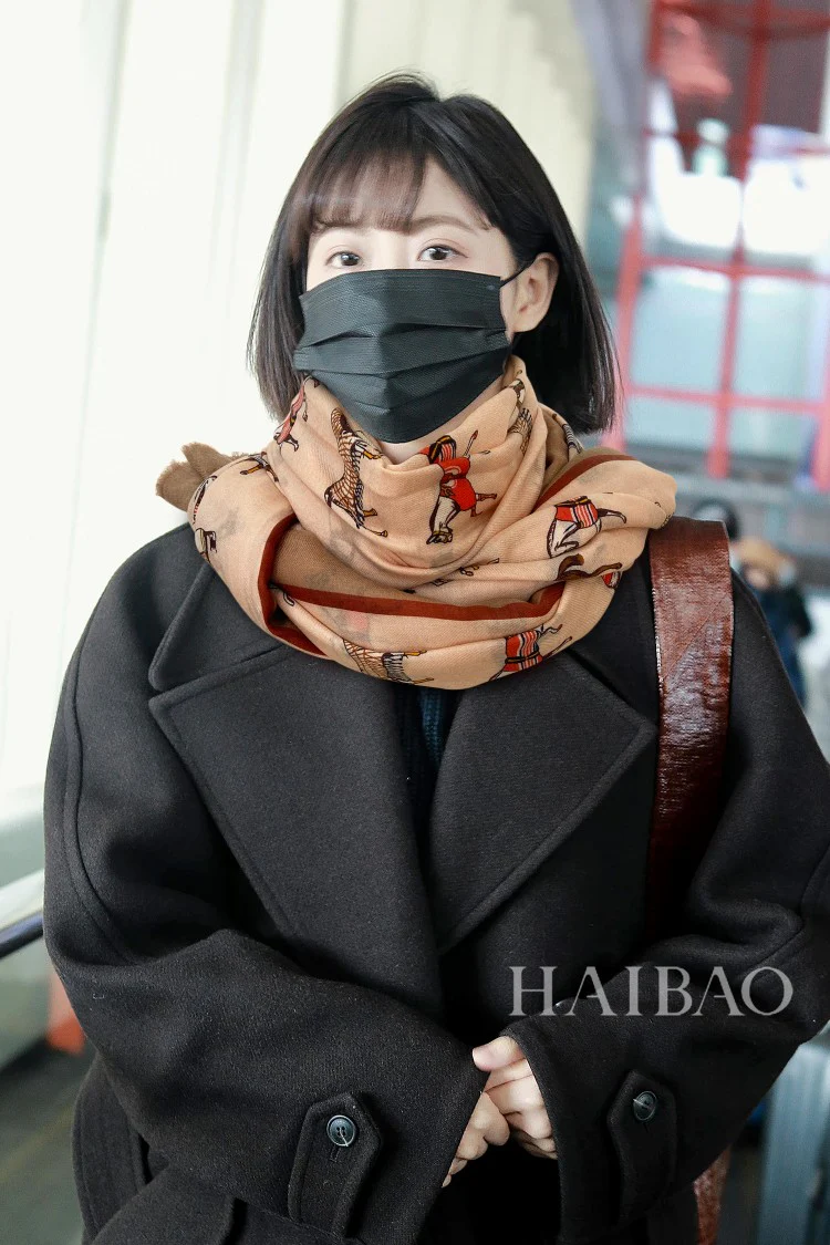 Hermes - Накидка с лошадью - 100-200 Длинный шарф - 100 - Отборный кашемир - 2