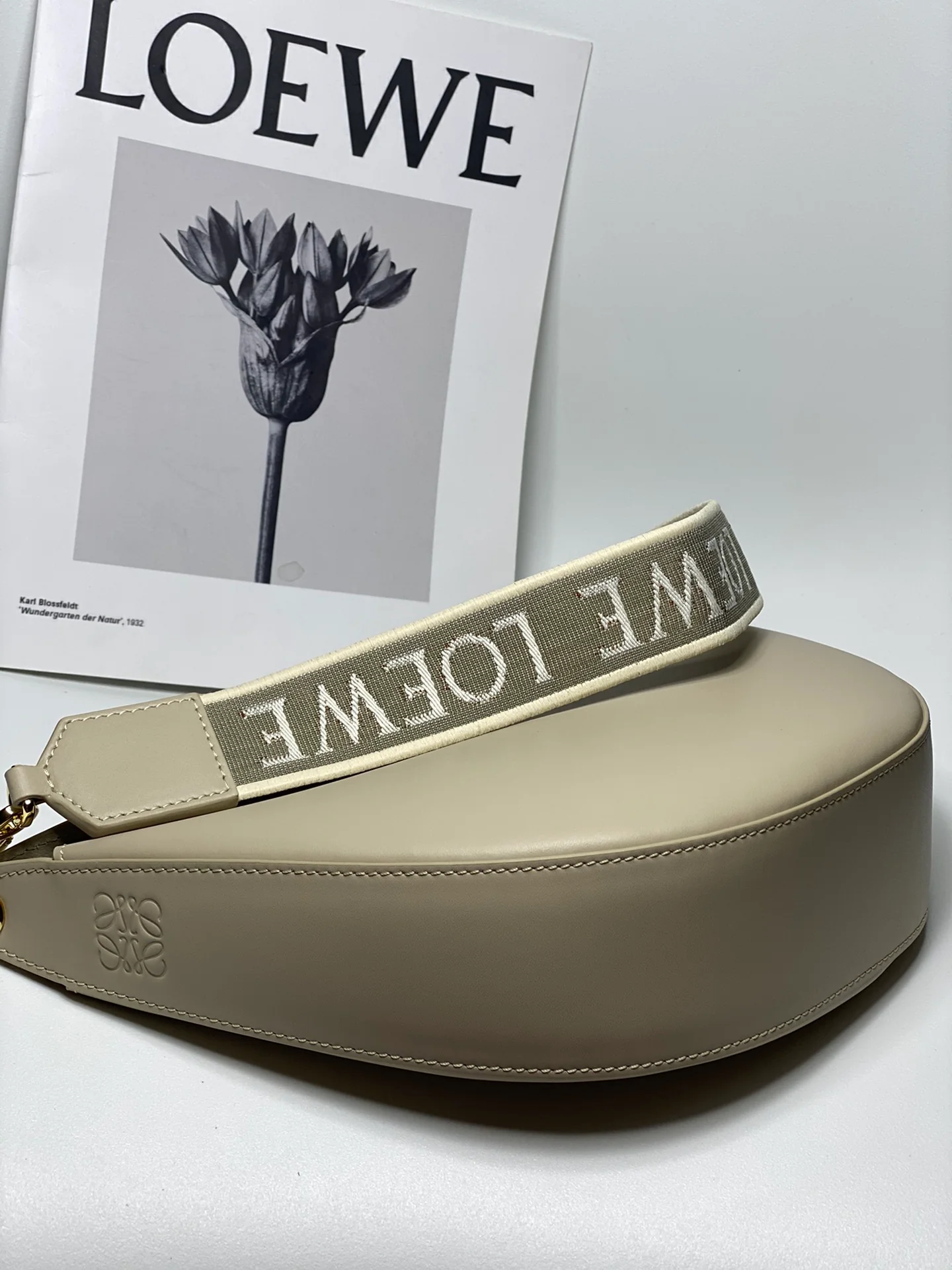 Сумка Loewe Luna серии Moon Bag - 6