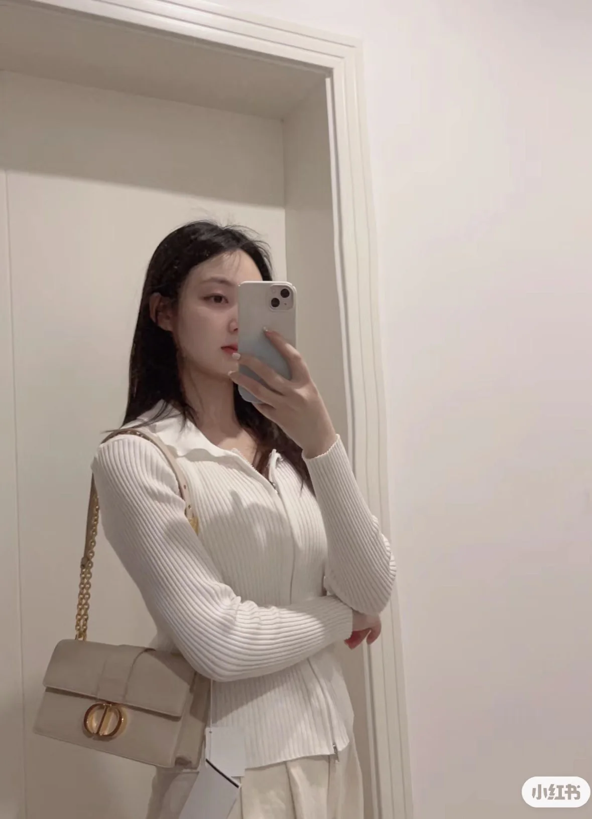 Сумка Dior 30 Montaigne, абрикосовый цвет, 21 см.