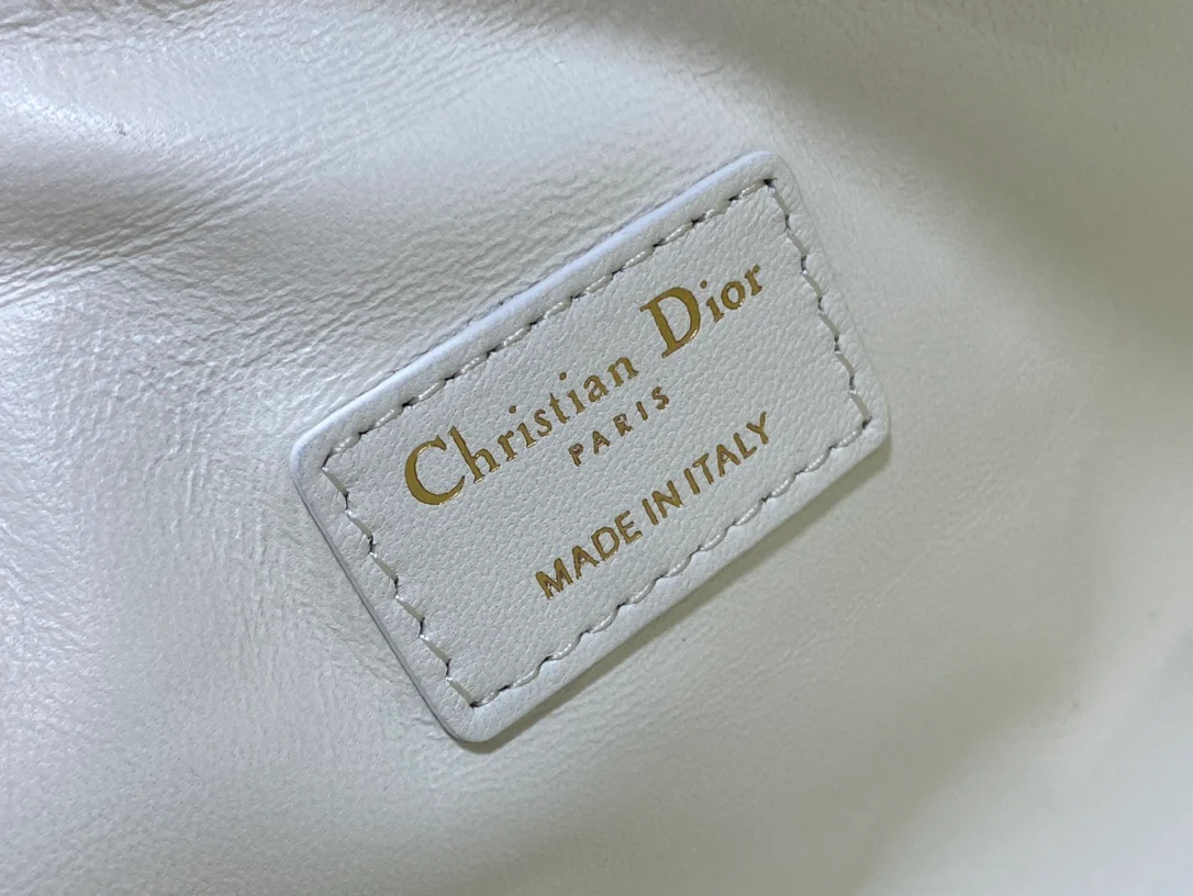 Dior-diortravel-nomad-small bag-large size