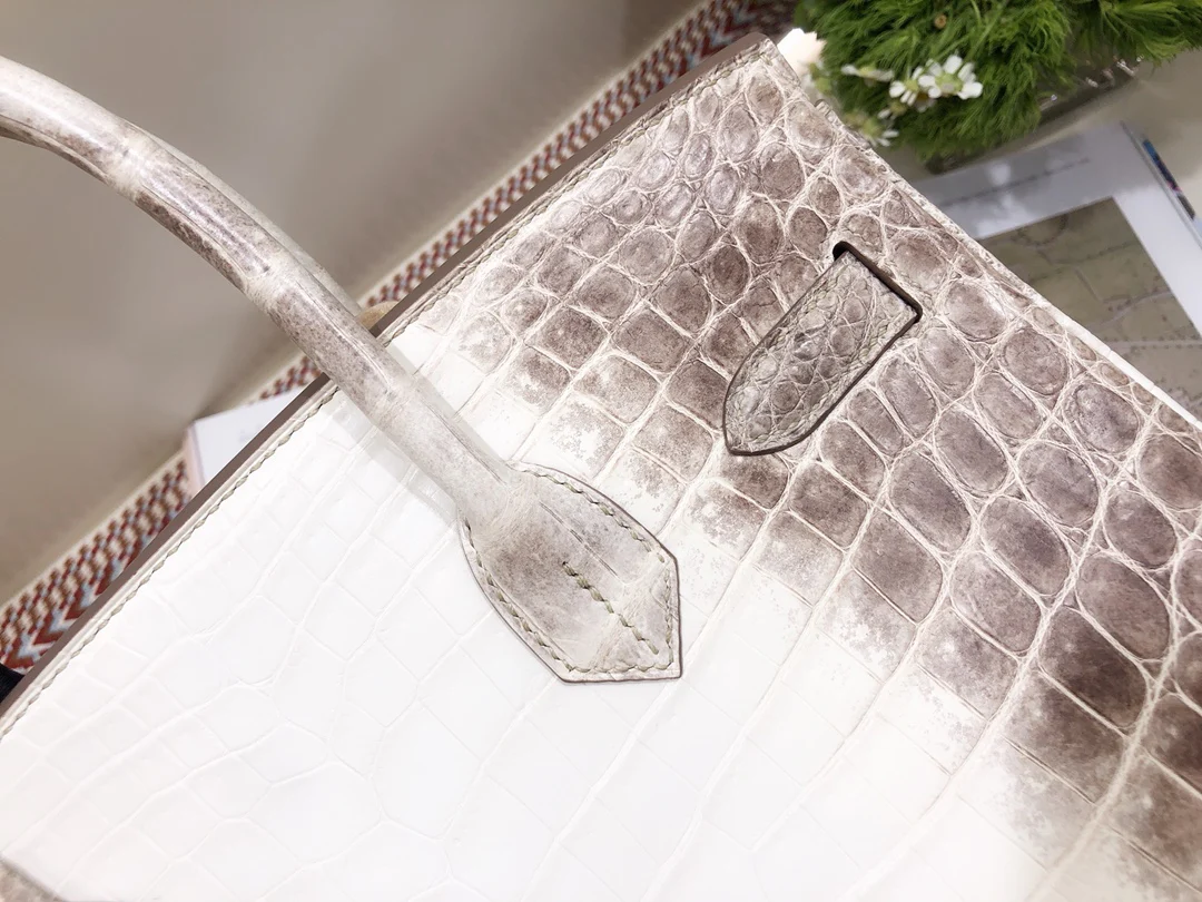 Hermes Birkin 30 Himalaya Silver Buckle