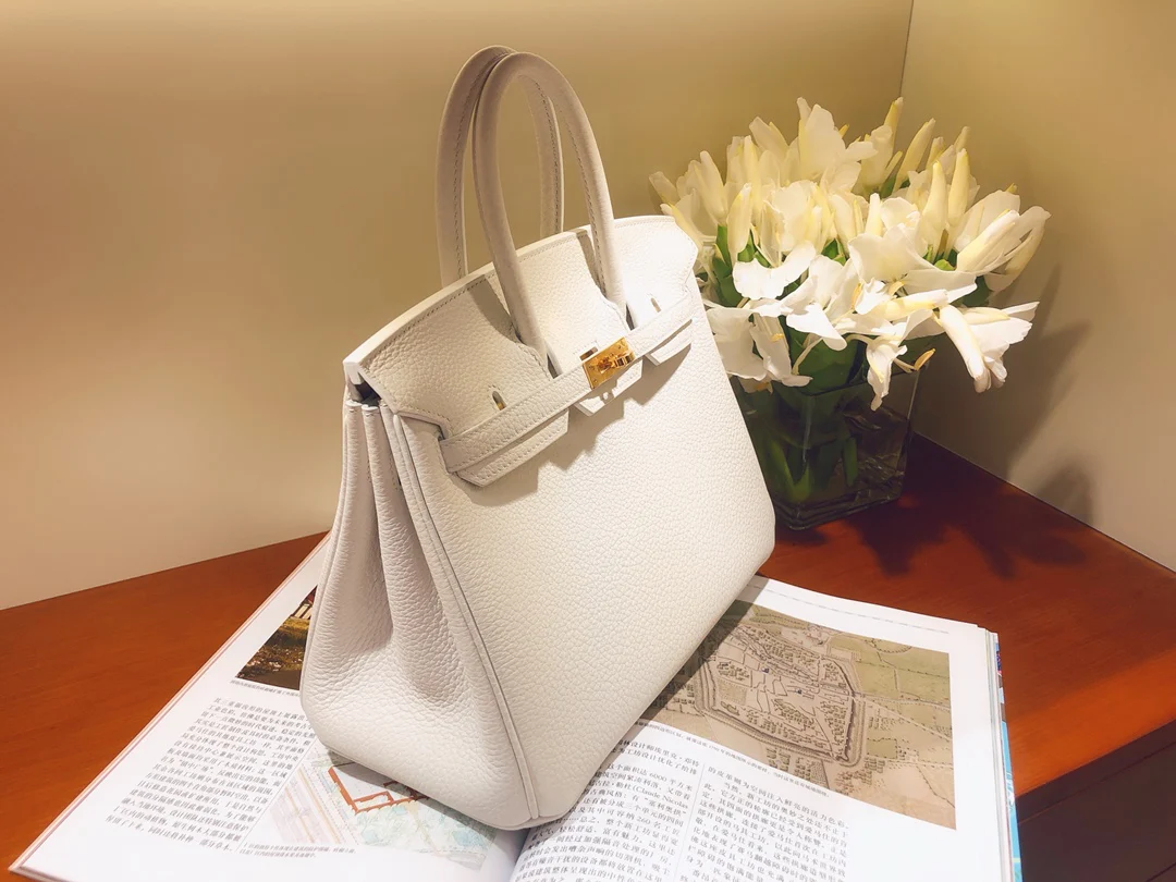 Hermes Birkin 25 Togo - Чисто-белый - Золотая фурнитура
