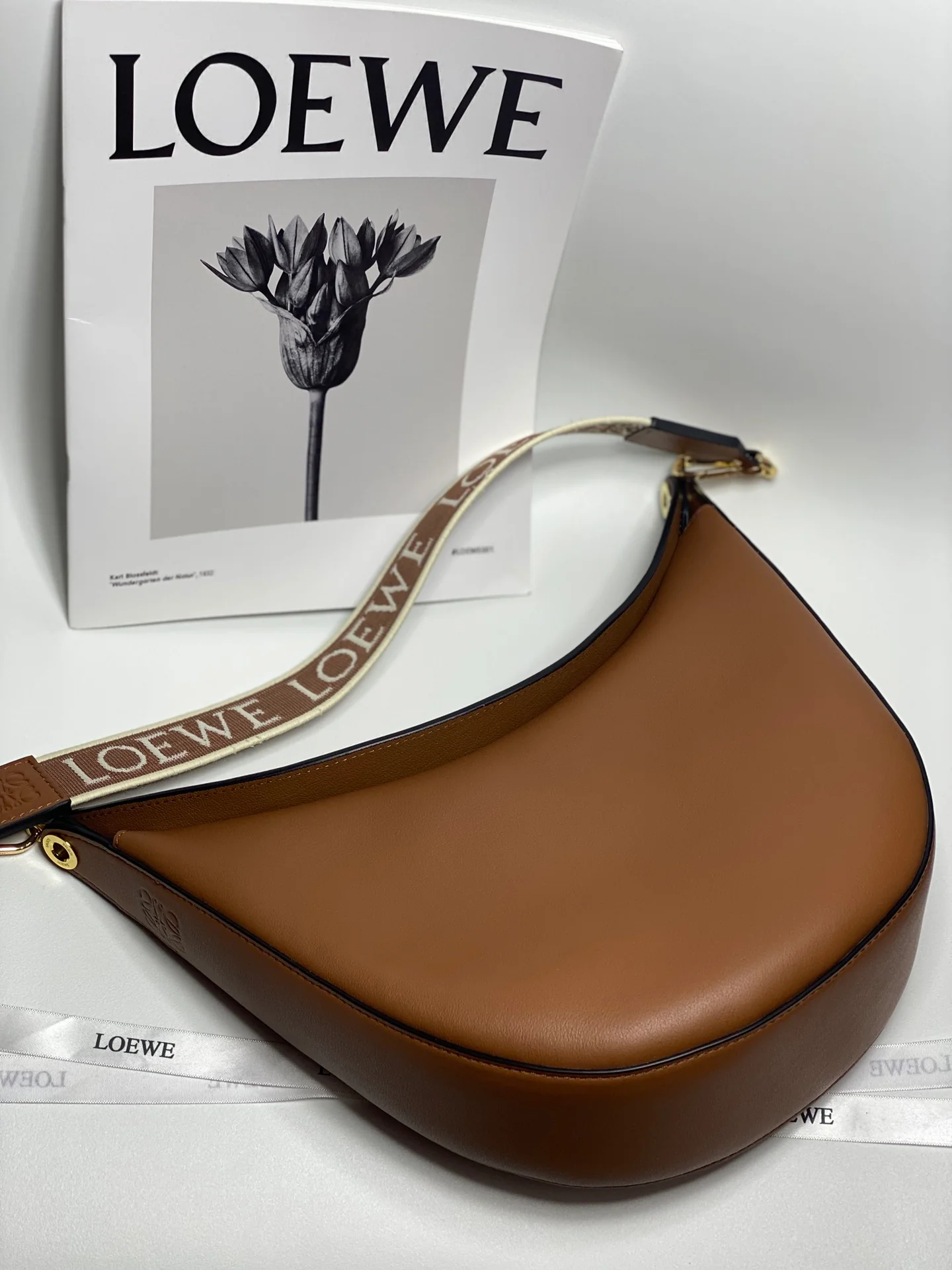 Сумка ?Луна? из коллекции Loewe Luna.