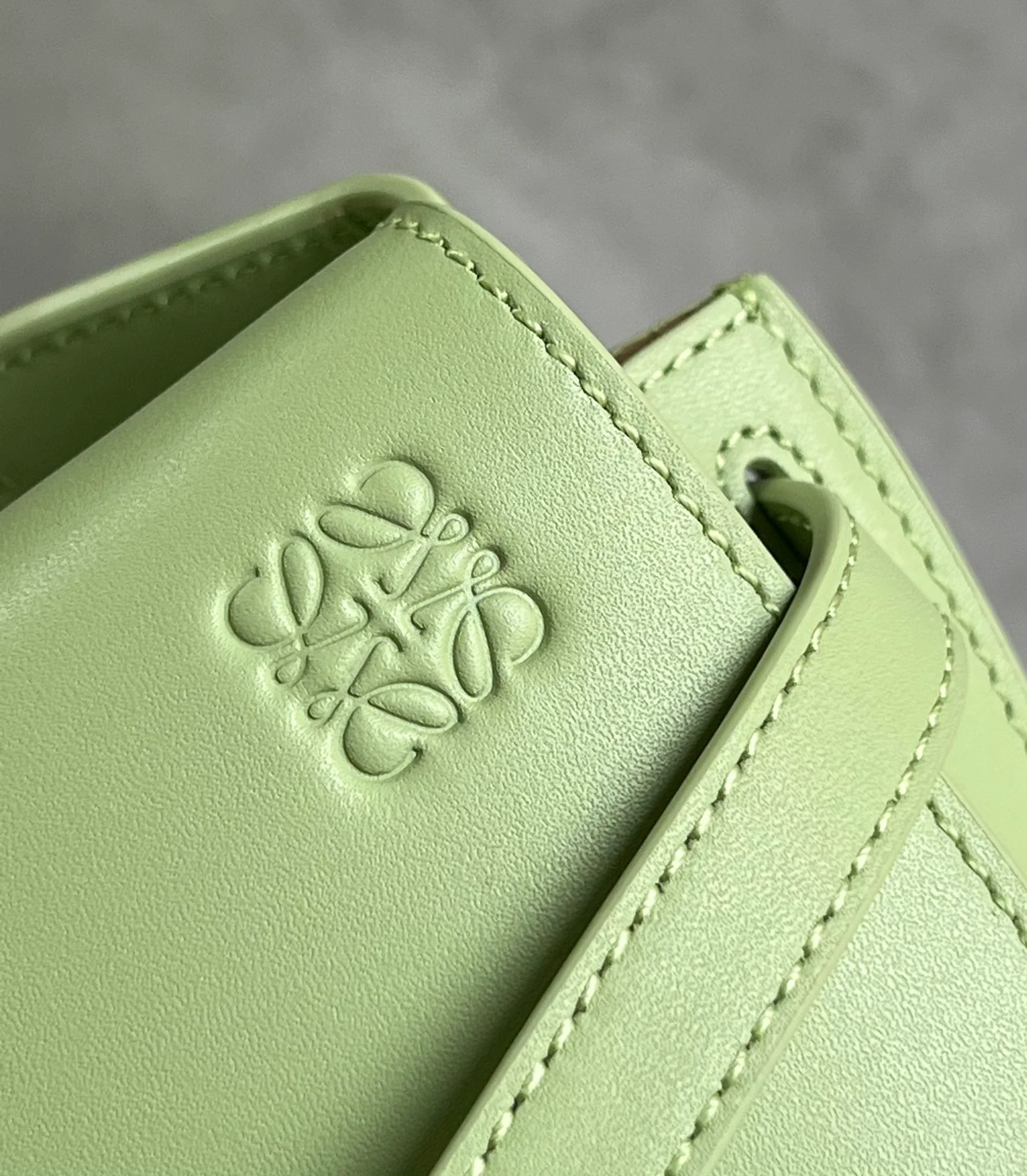 Loewe-gate-dual-grass green-mini