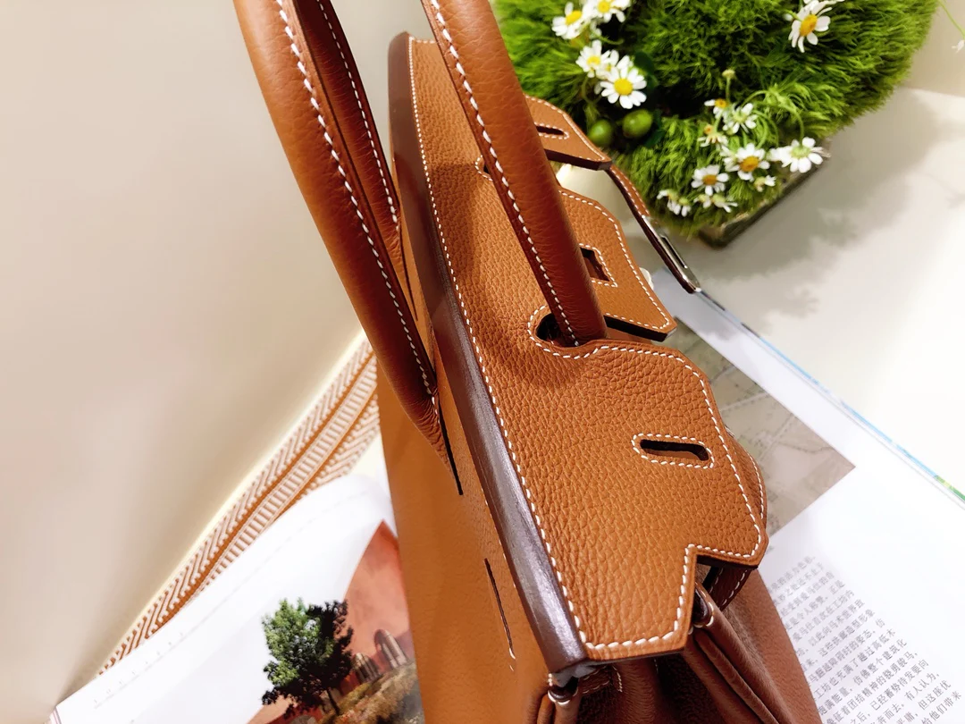 Hermes Birkin 25 Togo Gold Brown Silver Buckle