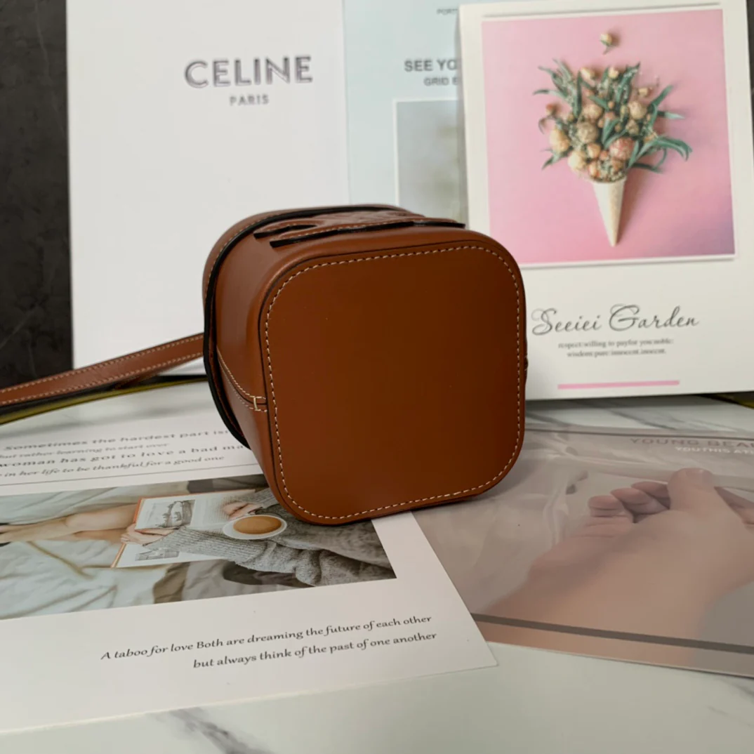 Сумка Celine Boxtriomphe - коричневая