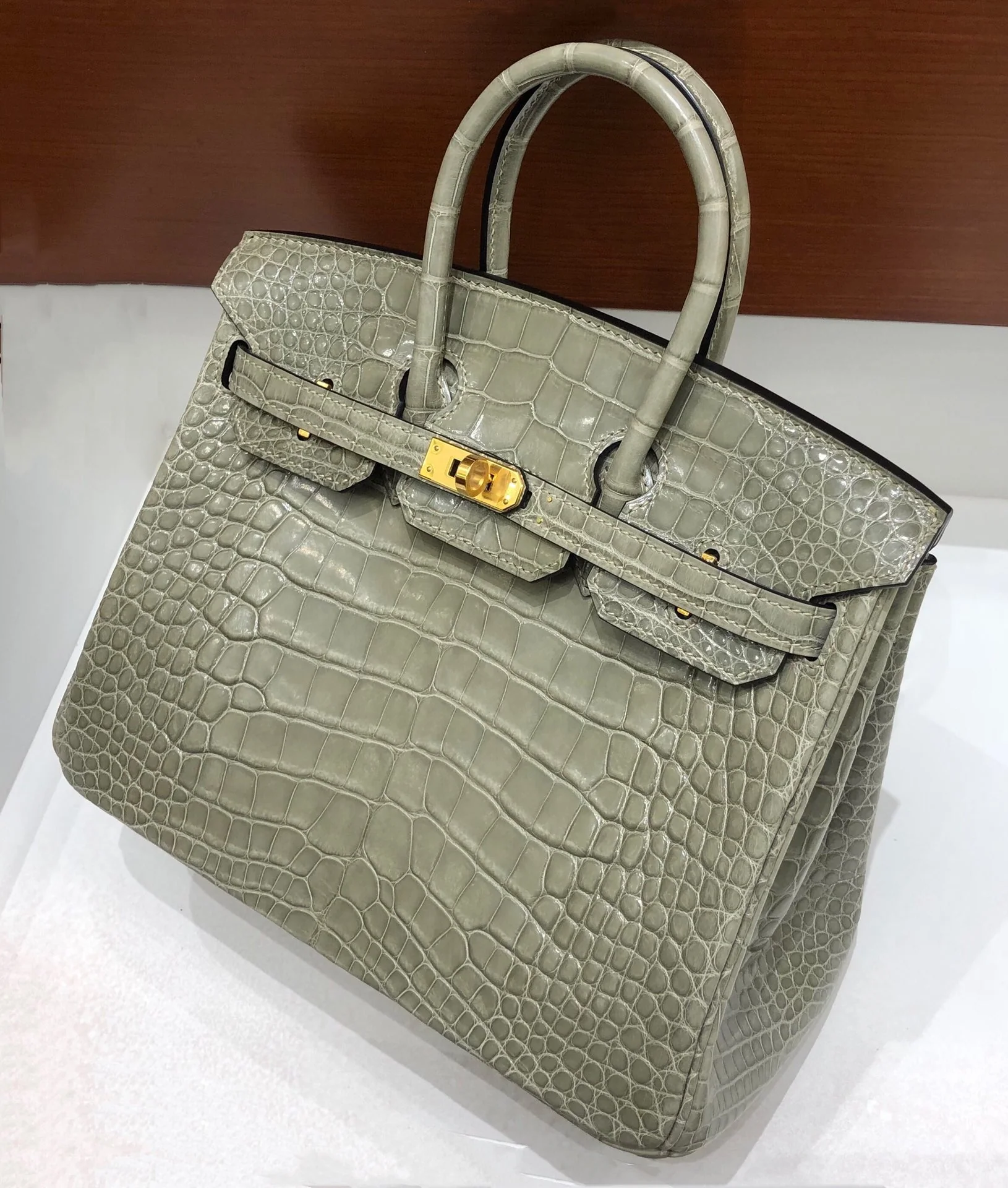Hermes-Birkin-25-American Block Crocodile-Spotted Dove Grey-Gold Buckle