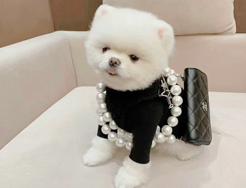 Маленькая сумочка Chanel с жемчужной цепочкой - 1 шт.