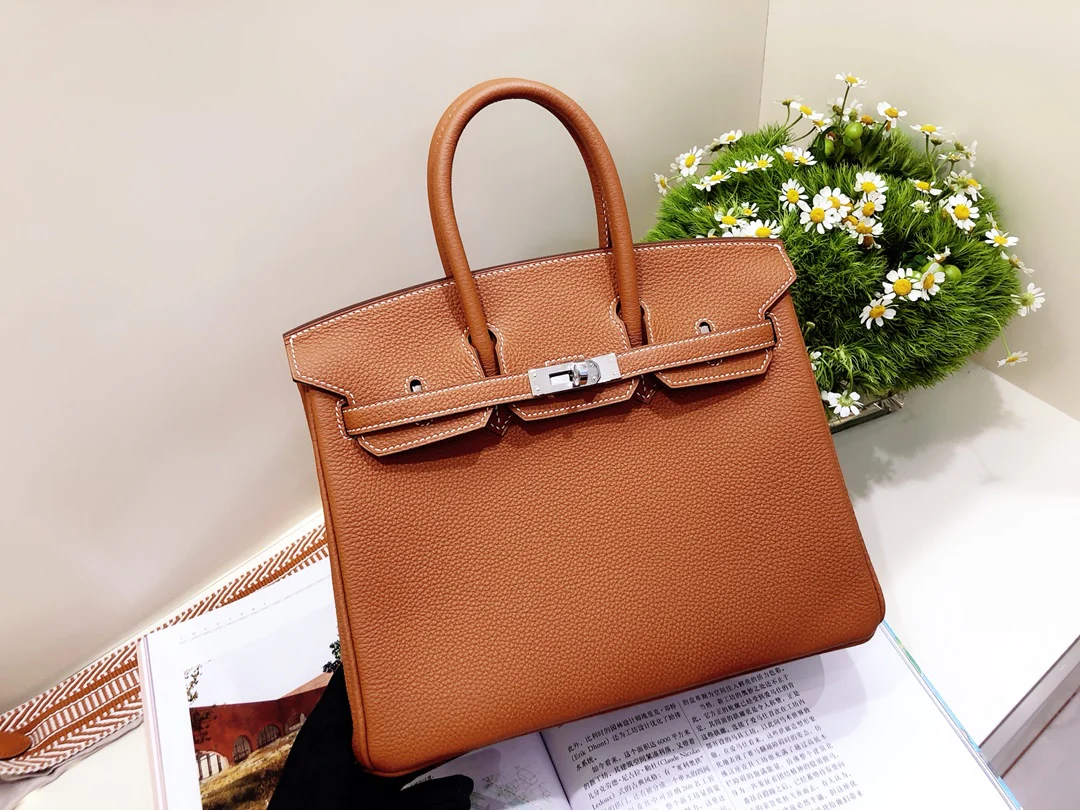 Hermes Birkin 25 Togo Gold Brown Silver Buckle
