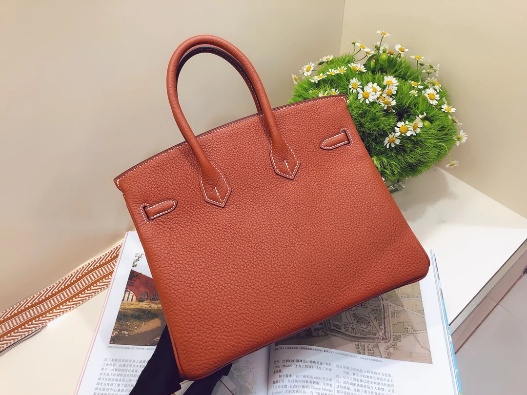 Hermes-birkin-25-togo-Maple Leaf Palm- Gold Buckle