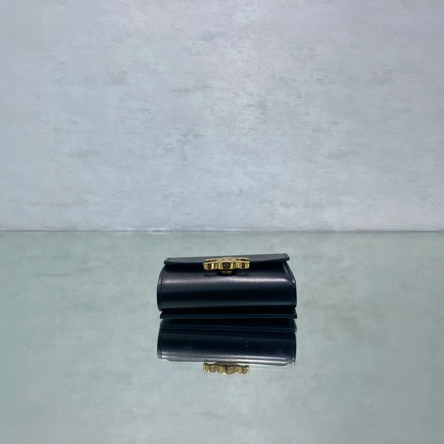 Celine Triomphe 2-в-1-черный