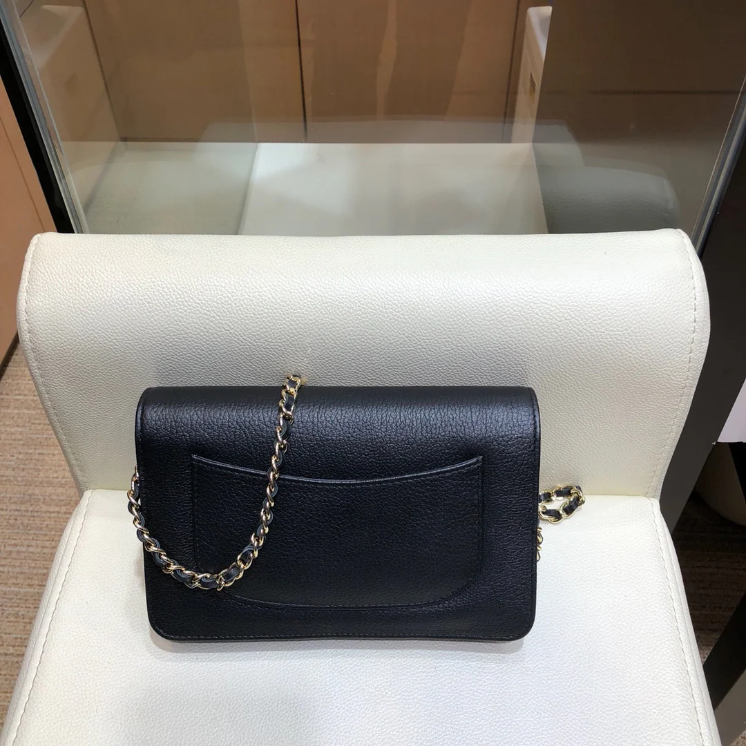 Новая маленькая сумка Chanel WOC - 1