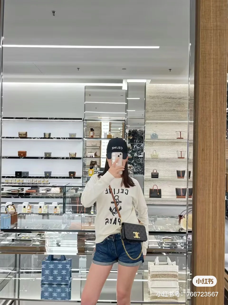 Сумка Celine Triomphe из классического канваса с принтом и клапаном - коричневая с монограммой.