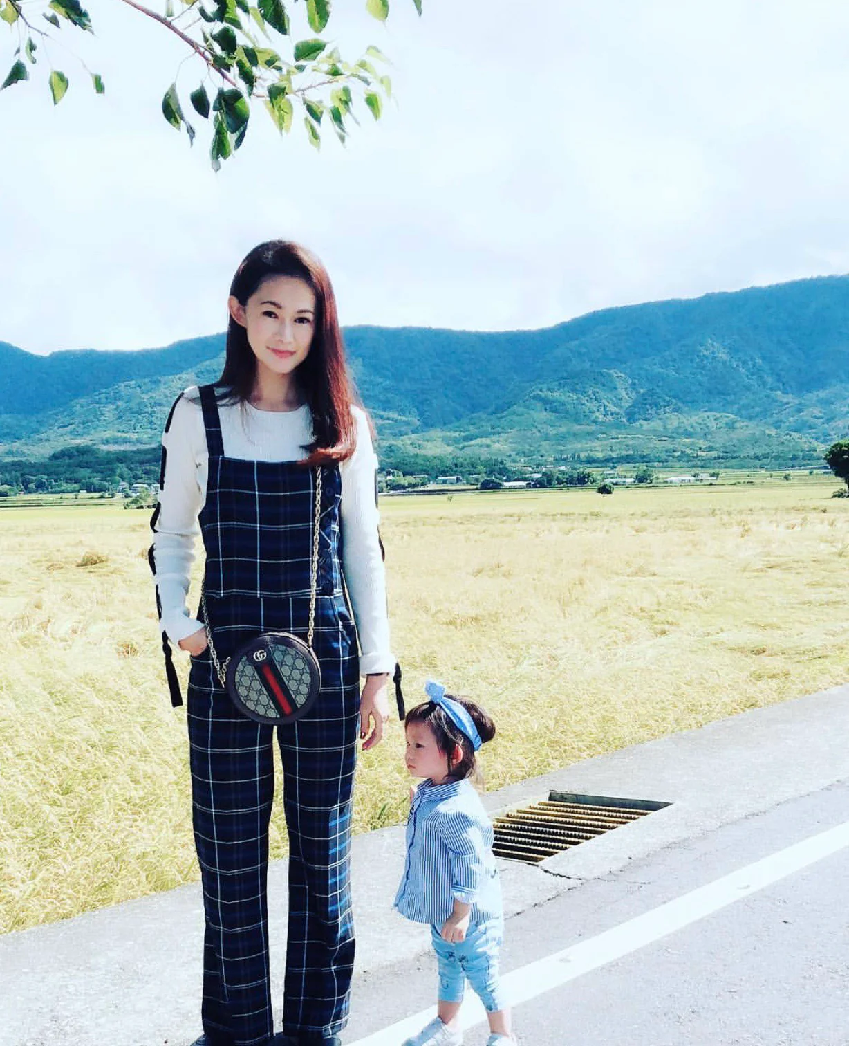 Круглая сумка Gucci Ophidia - сумка через плечо - канва с монограммой