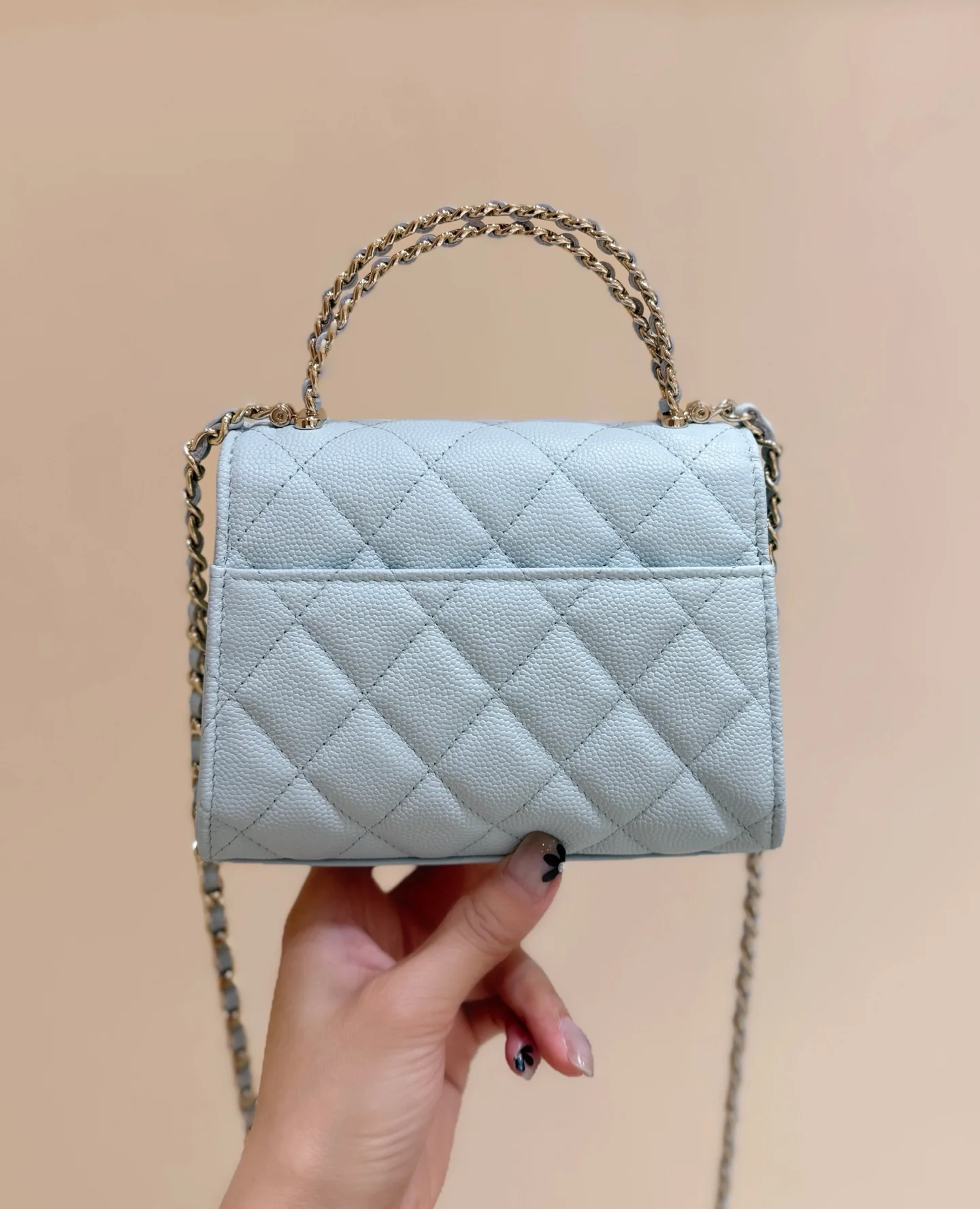 Сумка Chanel 25s Kelly Handle Bag