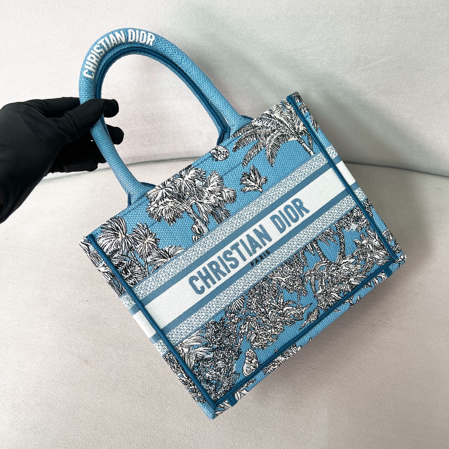 Сумка-тоут Dior Booktote из коллекции 