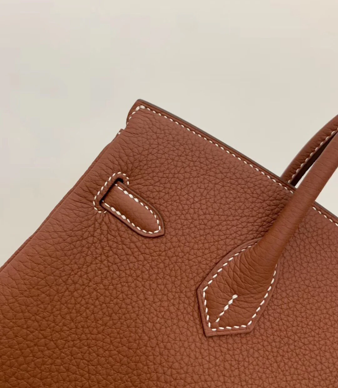 Hermes-birkin-25-e4-Maple Leaf Palm-Gold Buckle