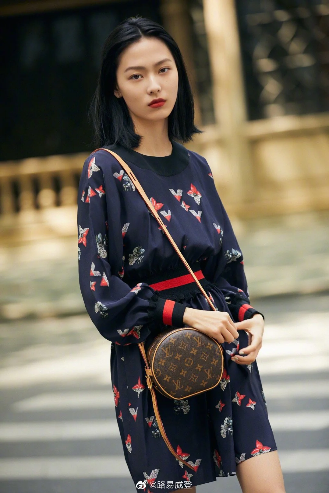 Круглая сумка LV