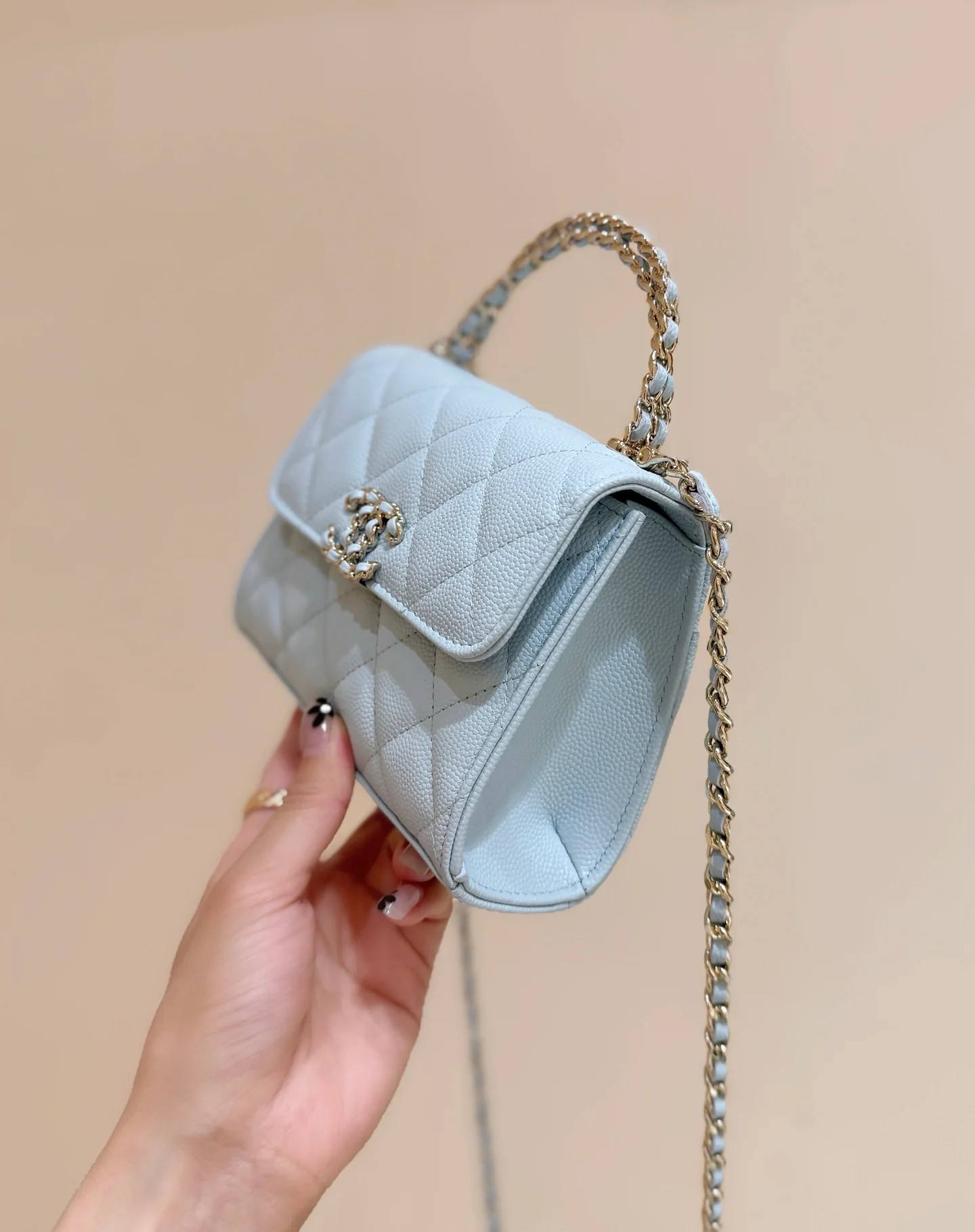 Сумка Chanel 25s Kelly Handle Bag