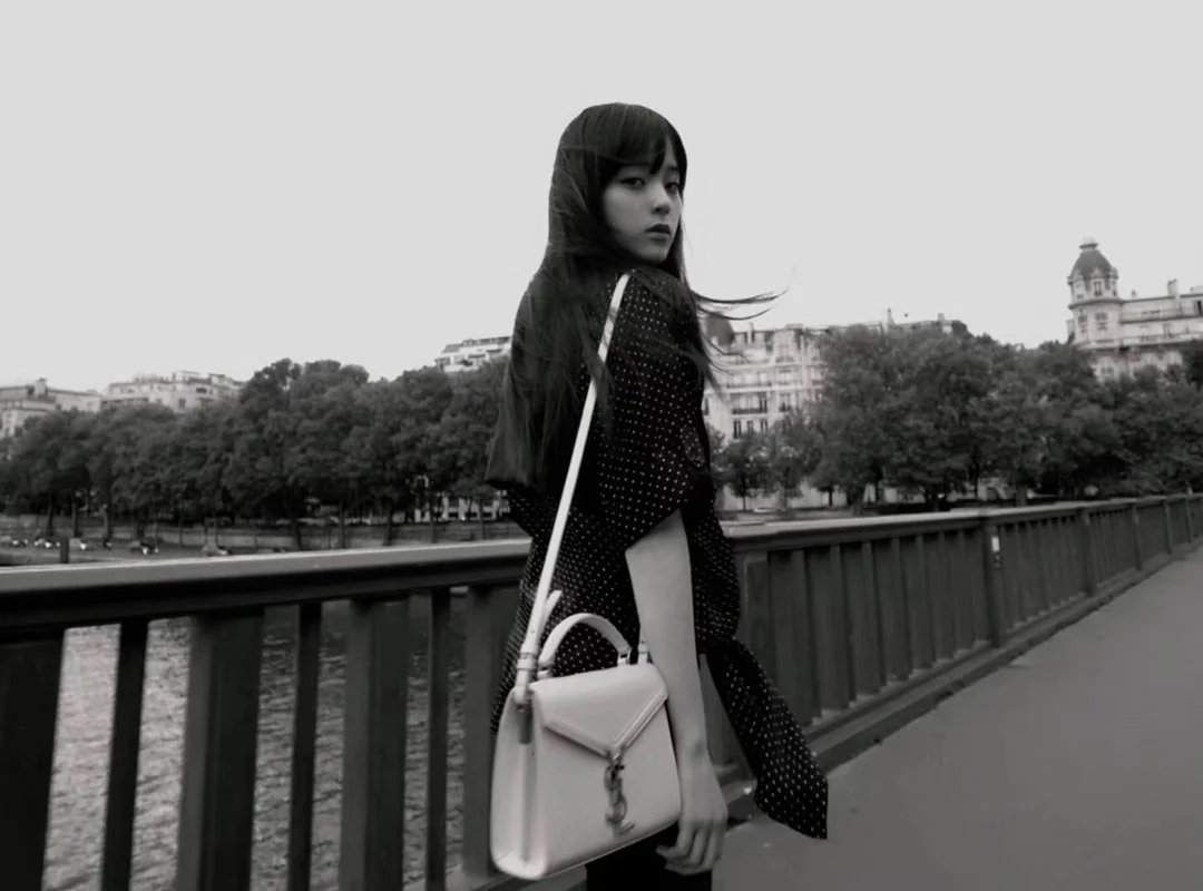 YSL Cassandra Mini 20cm - Body Sharing