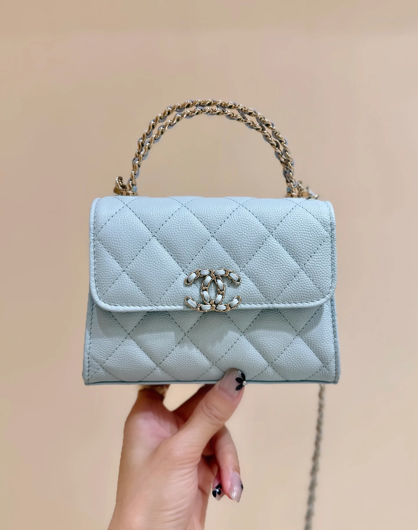 Сумка Chanel 25s Kelly Handle Bag