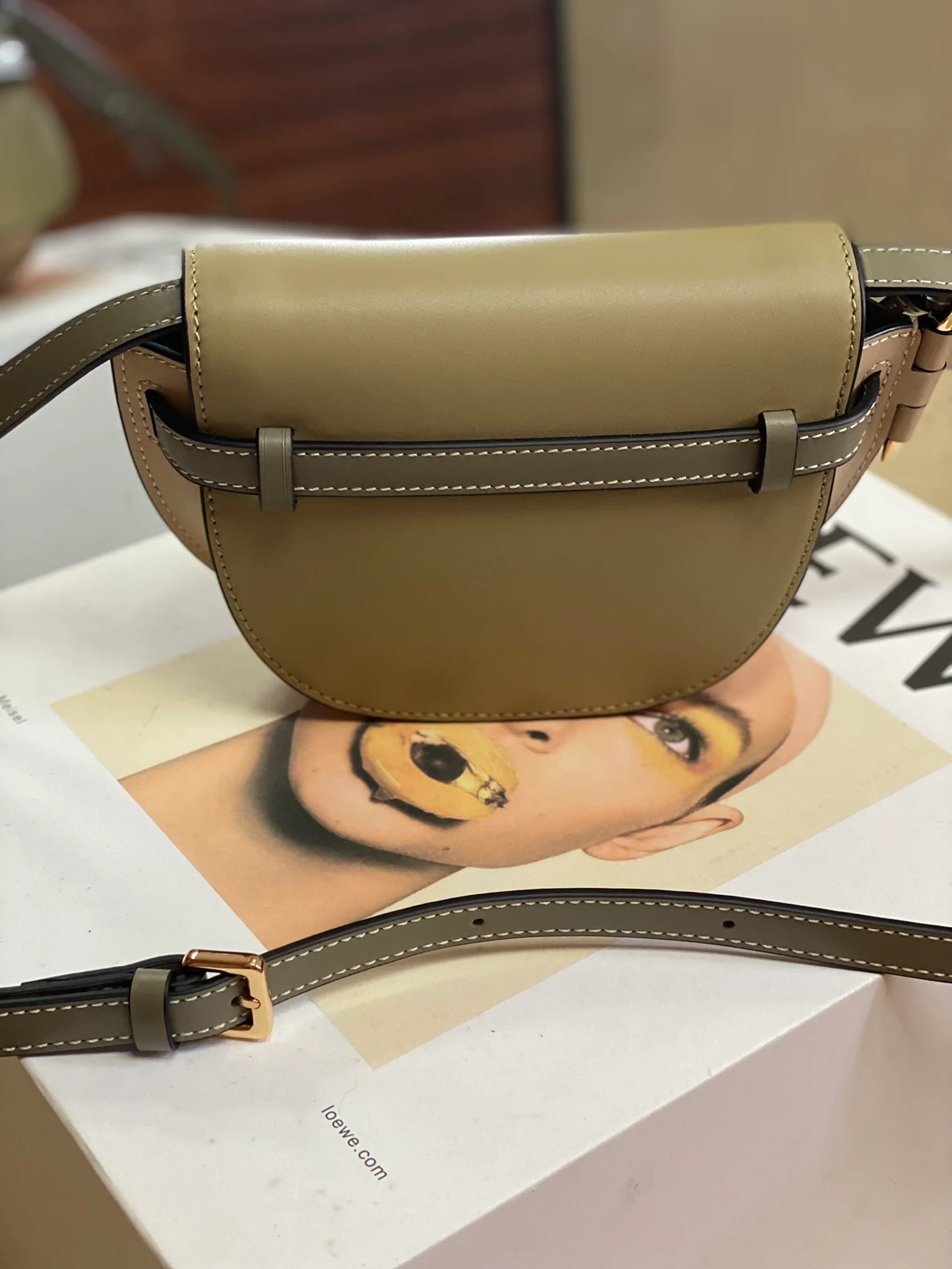 Loewe-gate-dual-milk-gray and green-panel mini